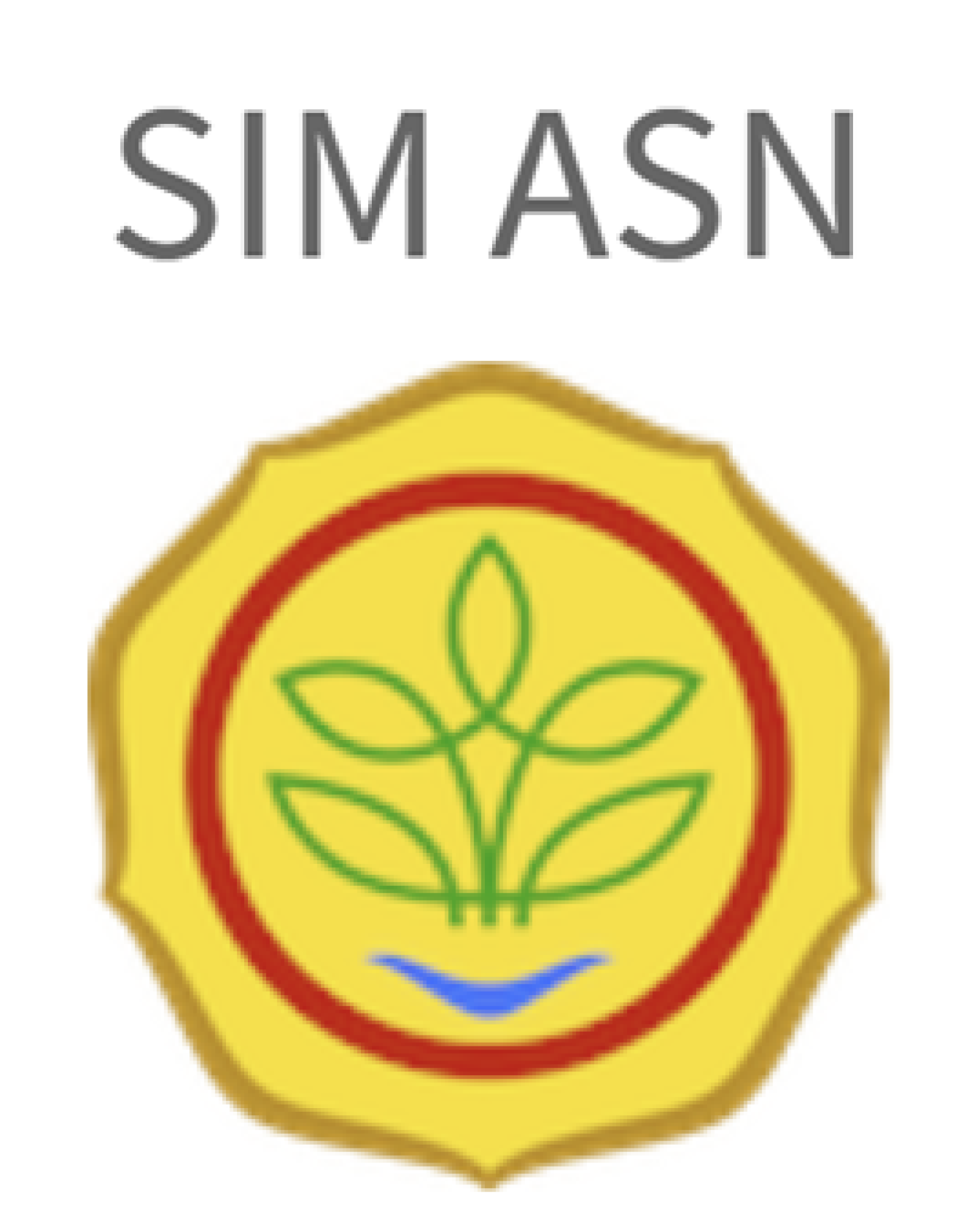 SIM ASN