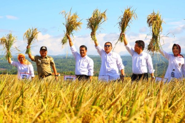 Judul Pengumuman 4 CMS Kementan gfdhllh